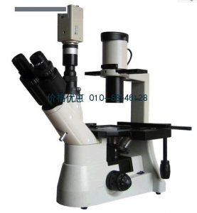 BM-37XCC電腦型倒置生物顯微鏡