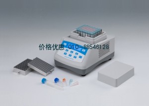 干式恒溫器 DH300